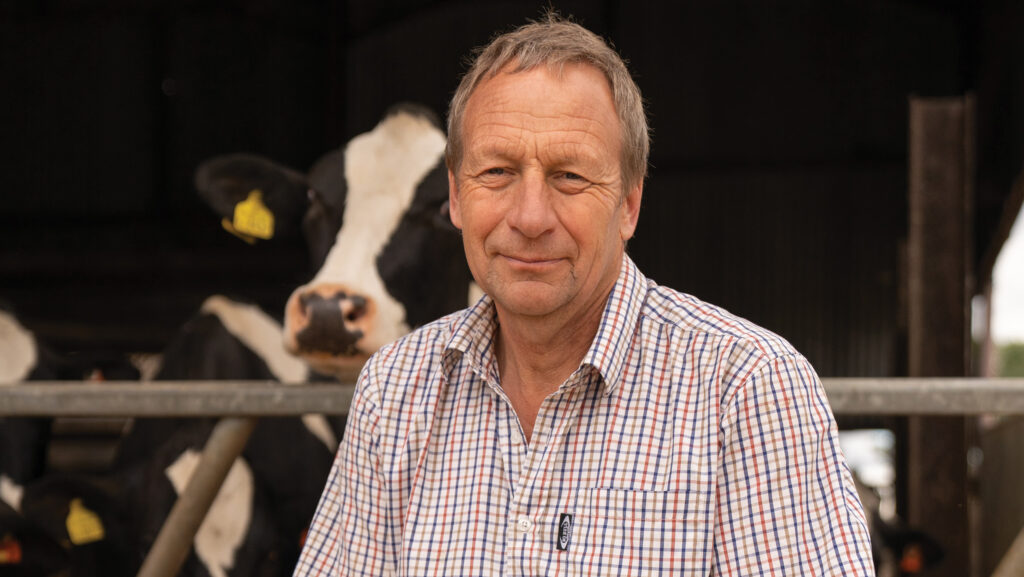 A man standing in front of a dairy cow