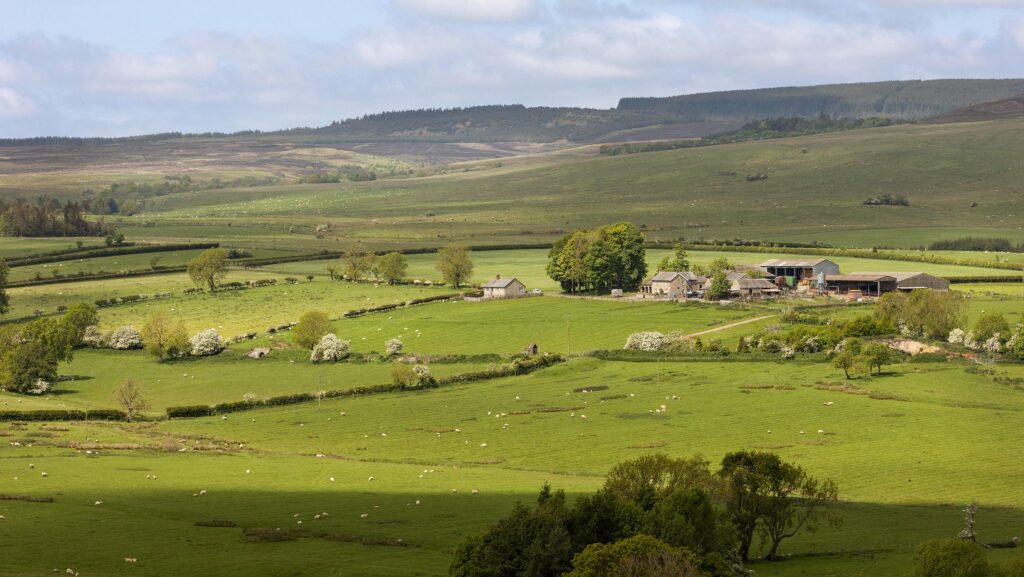 Rothbury Estate © Knight Frank