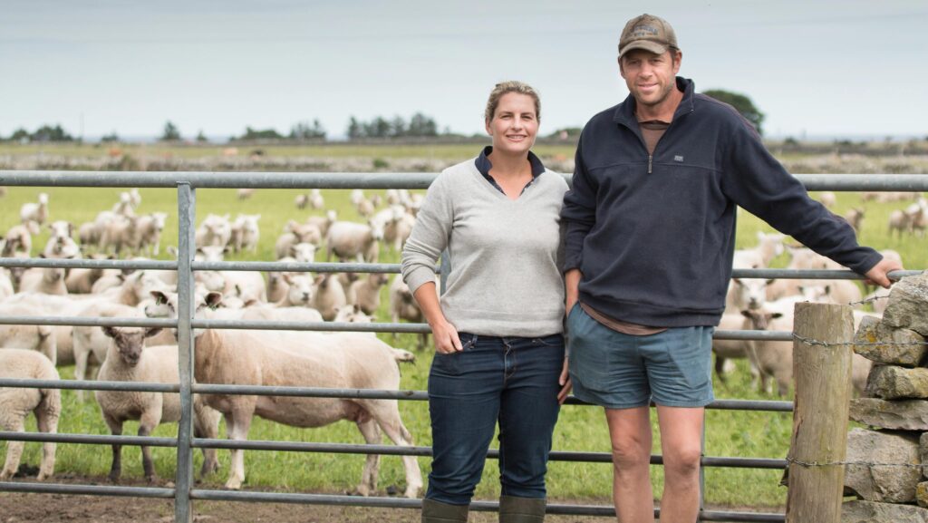 Vic and Jason Ballantyne with sheep