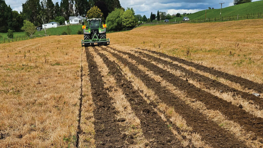 Celli Strip Till