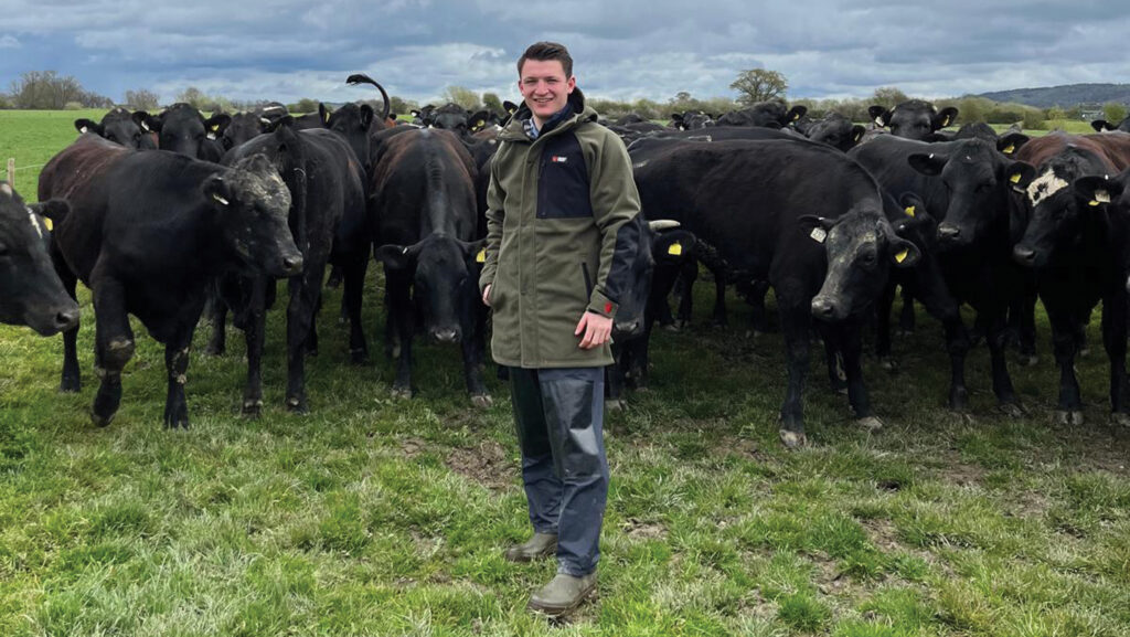 Man standing in front of a herd in a field