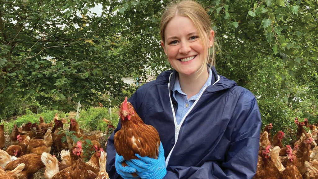 Woman holding free-range hen outdoors