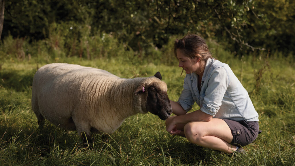 Polly Hilton and ewe