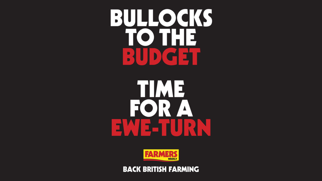 Bullocks to the budget poster