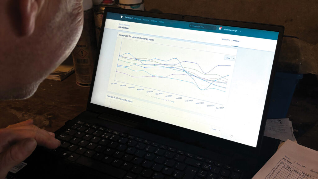 Cattle nutrition data display