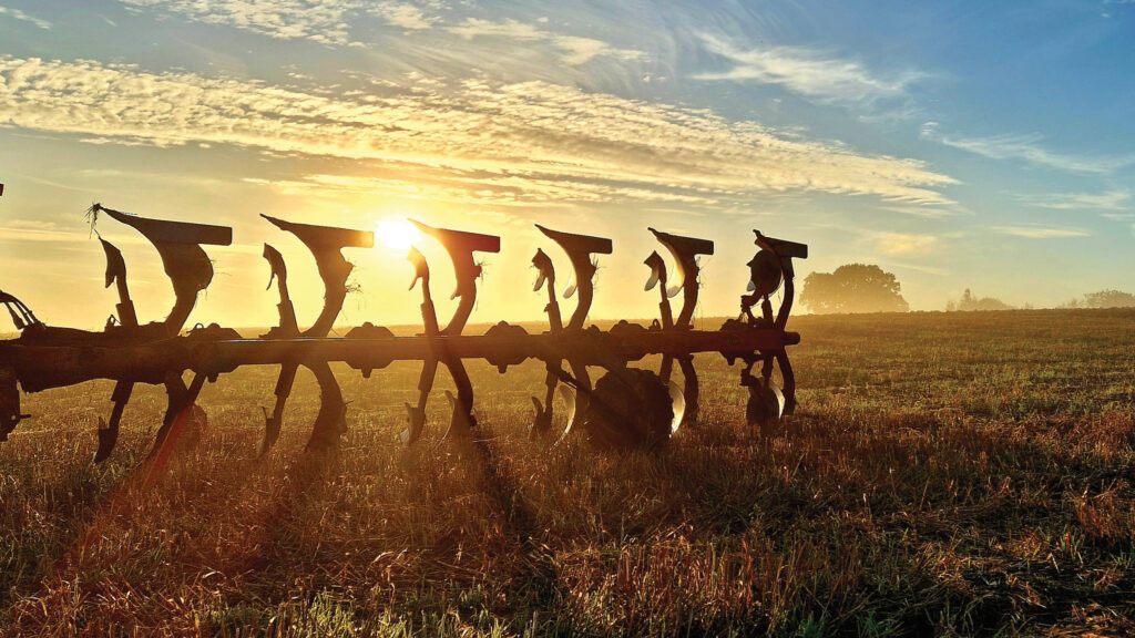 Mouldboards in field