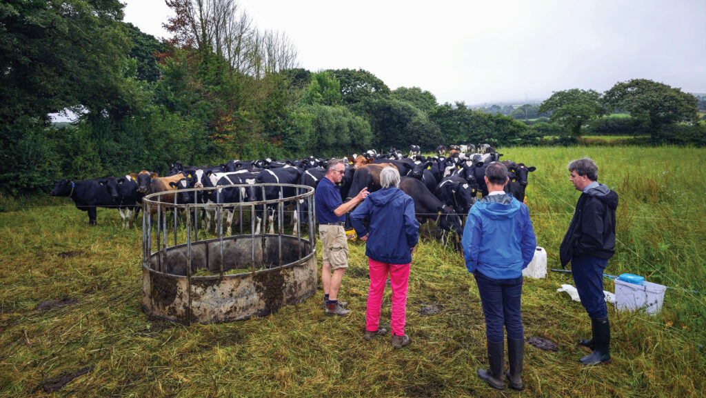 Discussing grazing