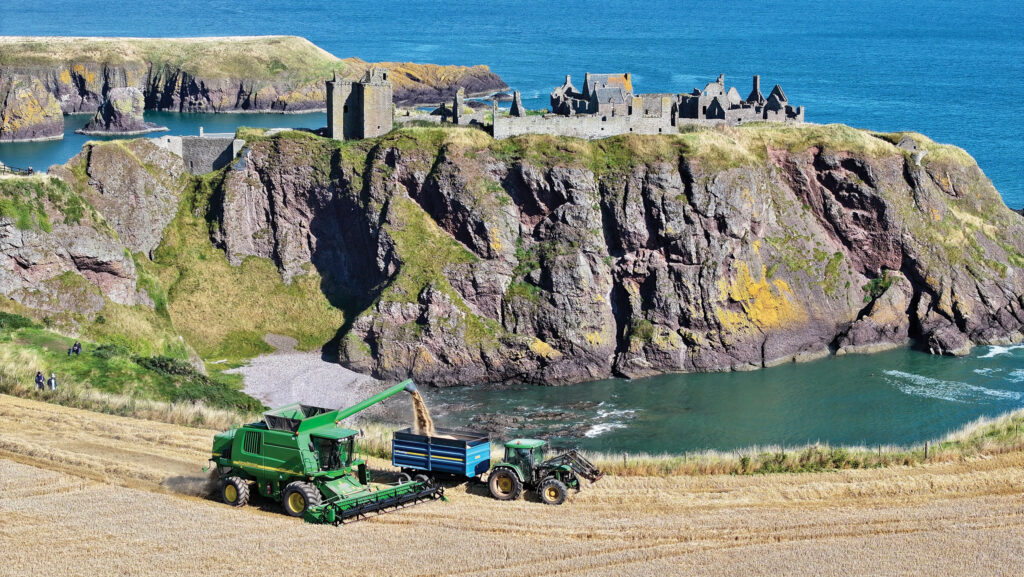 Barley harvest amongst clifftop ruins