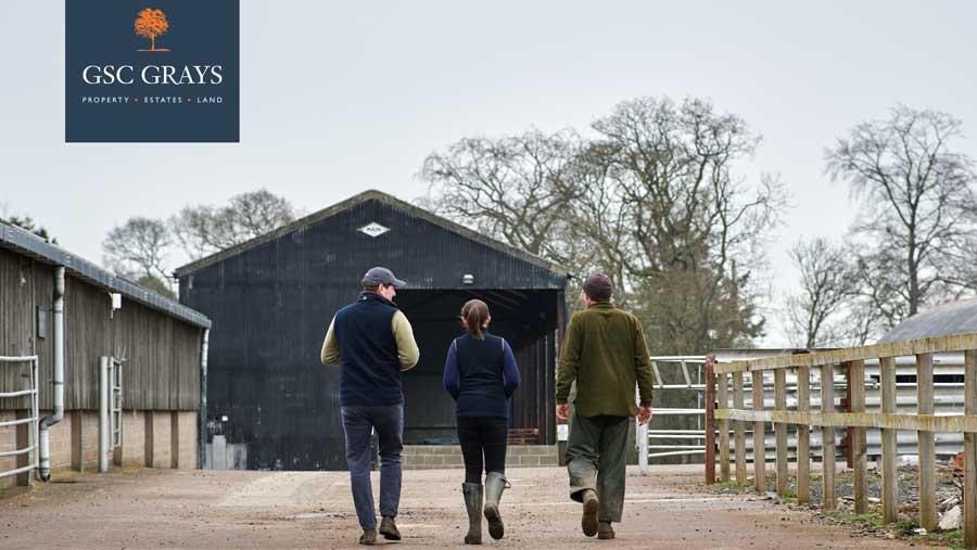 Guy Coggrave with clients walking through farm