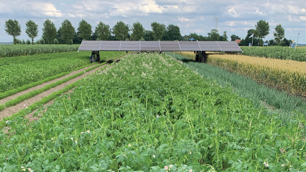 Solar panel in a field of crops