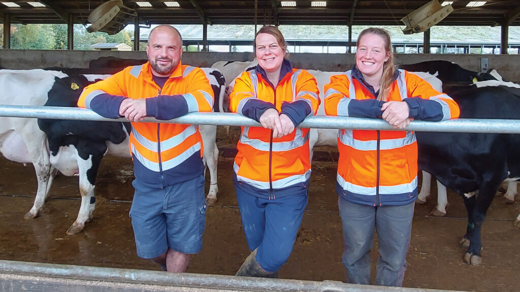 Harper Adams dairy students wearing high-visibility vests with cows