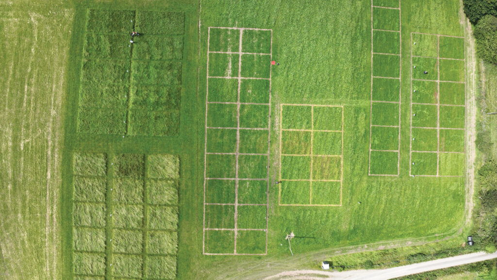 Fields treated with herbicides