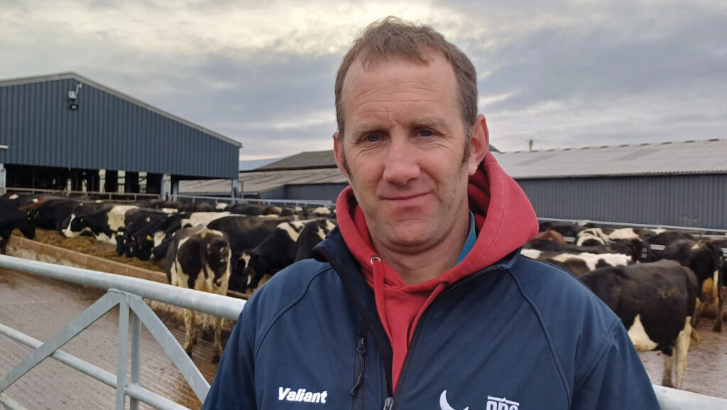 Keith Williamson standing in farmyard with cows