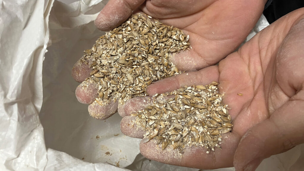 Hands holding malt