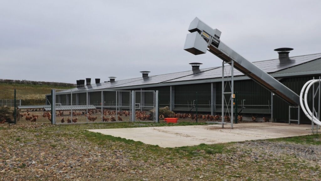 Solar panels on poultry shed