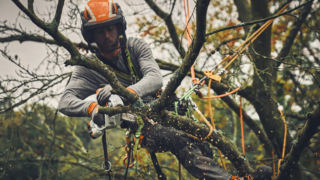 Man suspended in a tree using a chainsaw