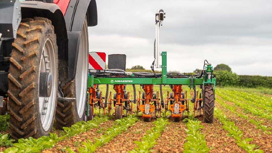 Amazone Venterra camera guided hoe, inter-row cultivating between 50 cm sugar beet rows whilst applying granular fertiliser