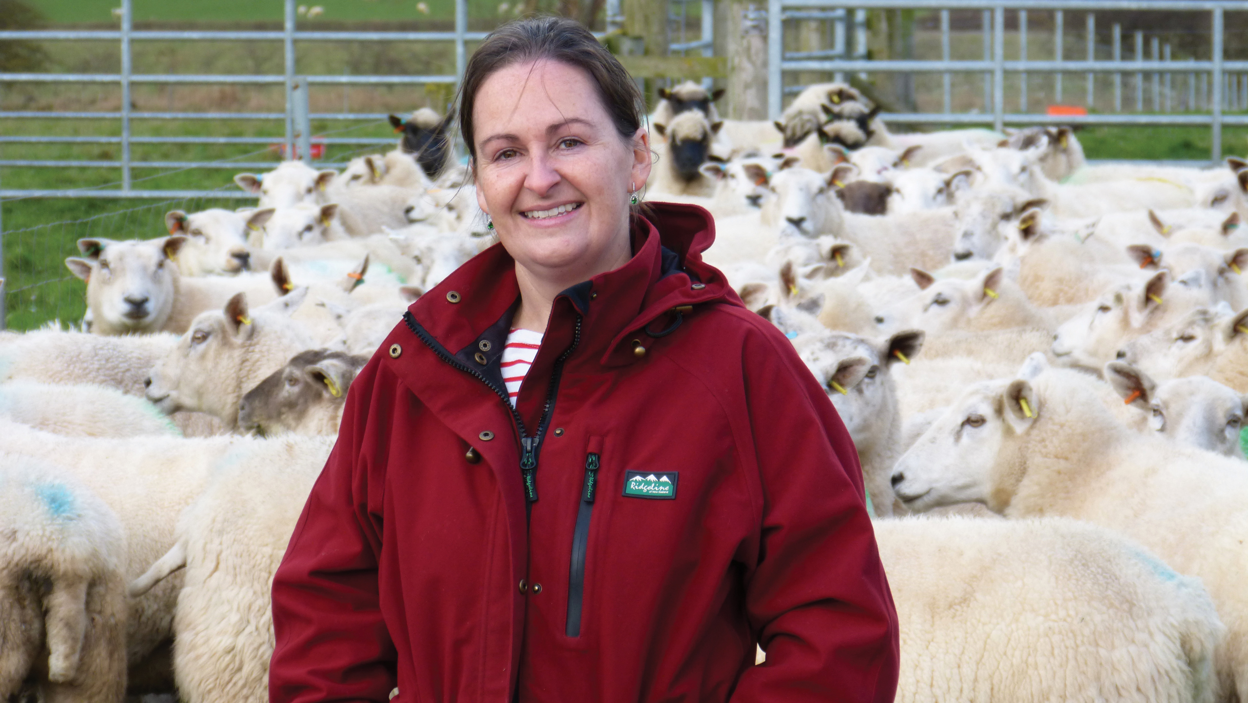 Anna Wilson with her flock