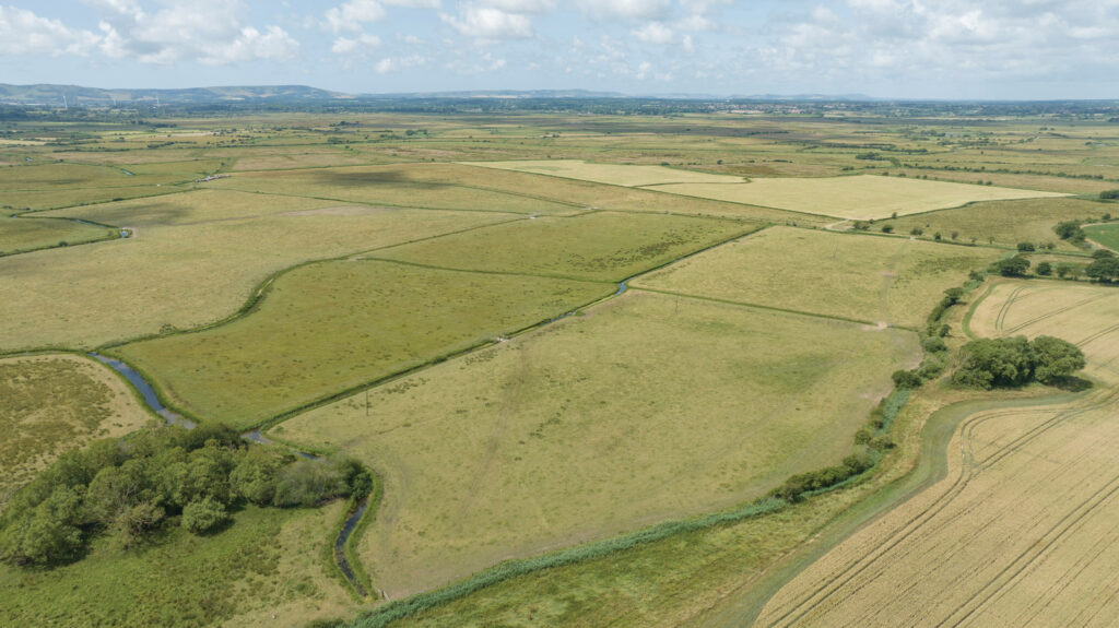 Aerial view of farmland