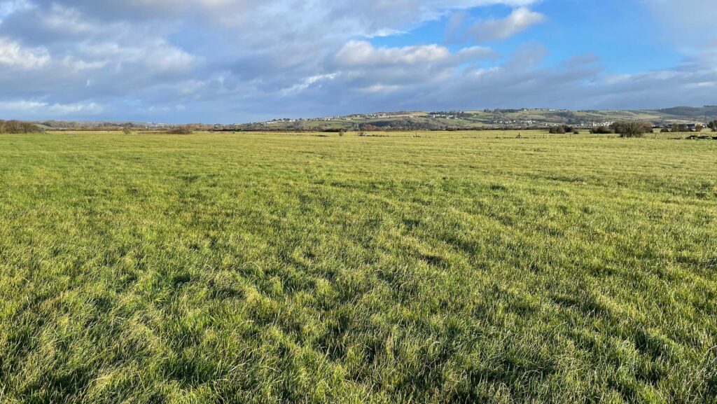 Leaze Farm