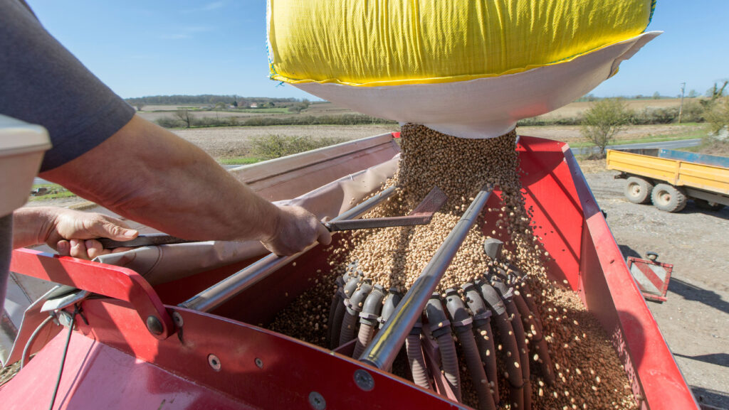 Loading drill with spring beans