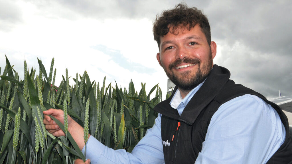 Matthew Bull with Cheer winter wheat crop