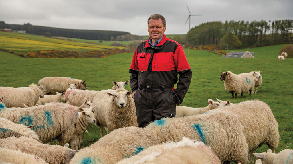 Andrew Connon in a field with sheep