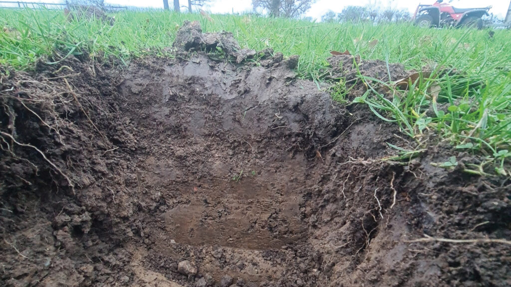 Soil profile from long-term grass