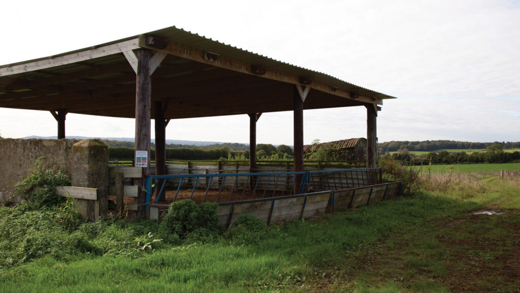 Summer shade for cattle