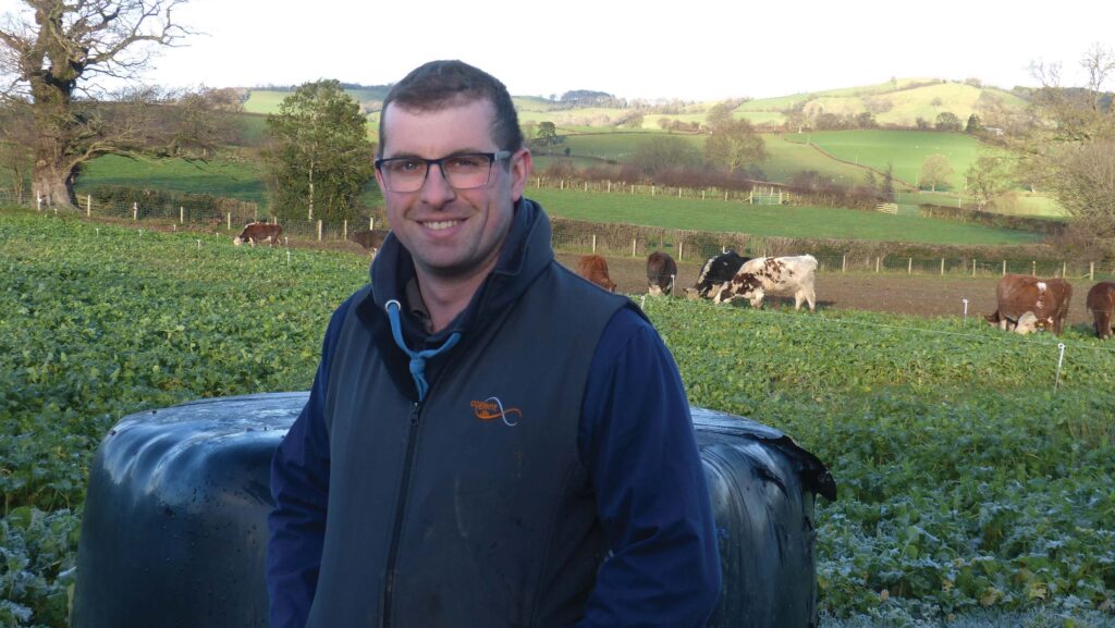 Farmer in a field with cattle in the distance