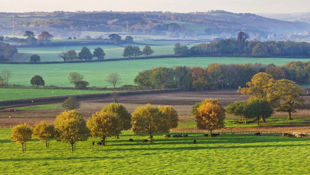 Killerton, Devon © National Trust Images/James Dobs