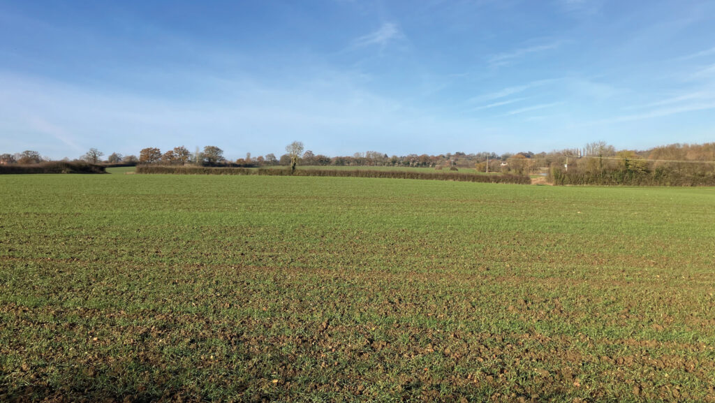 Arable land at Wimbish, north Essex