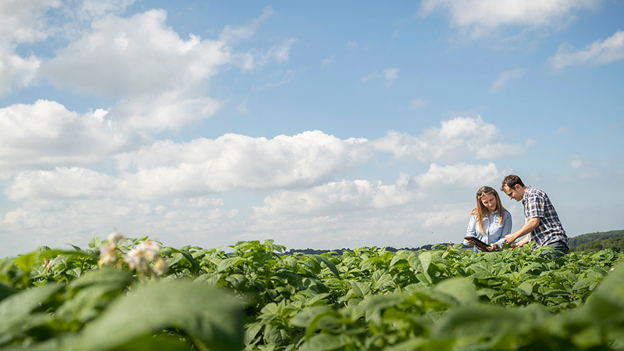 Two people stood in arable field