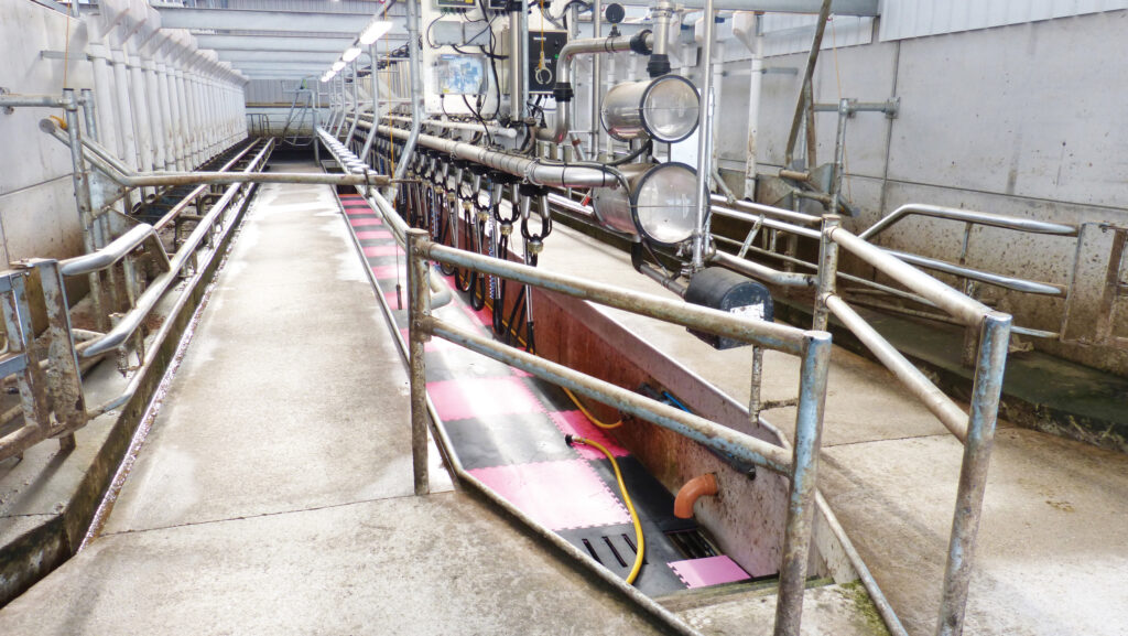 A milking parlour