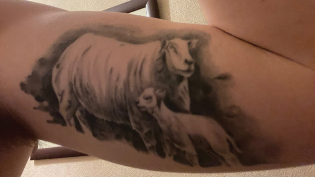 tattoo of sheep