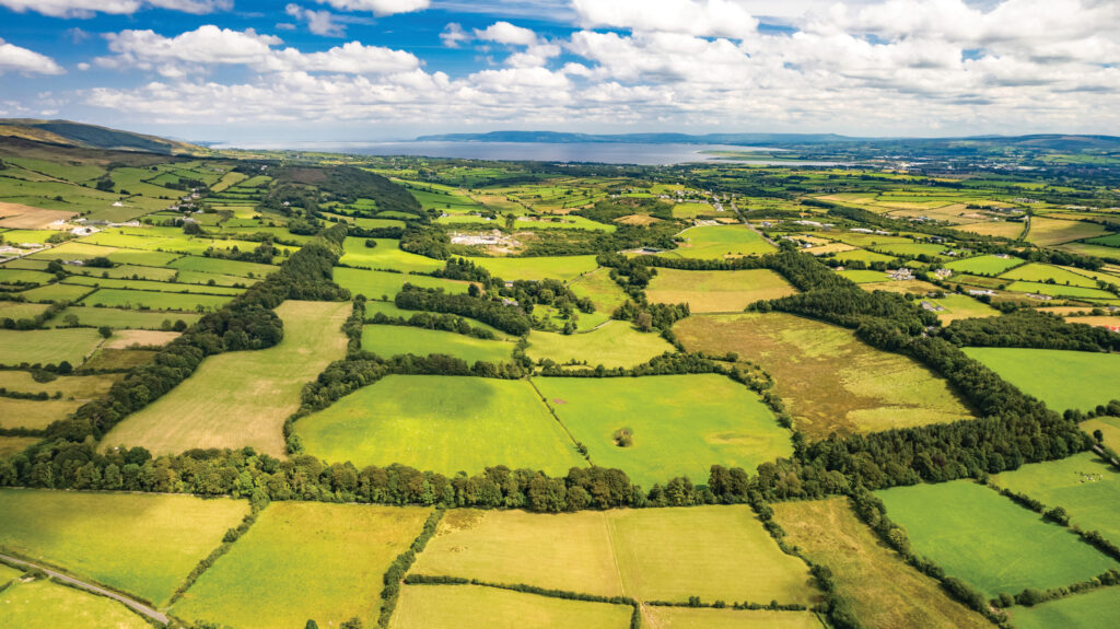 Birdstown Estate, County Donegal