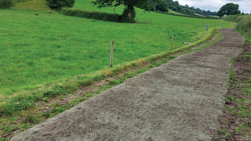 An astroturf cow track