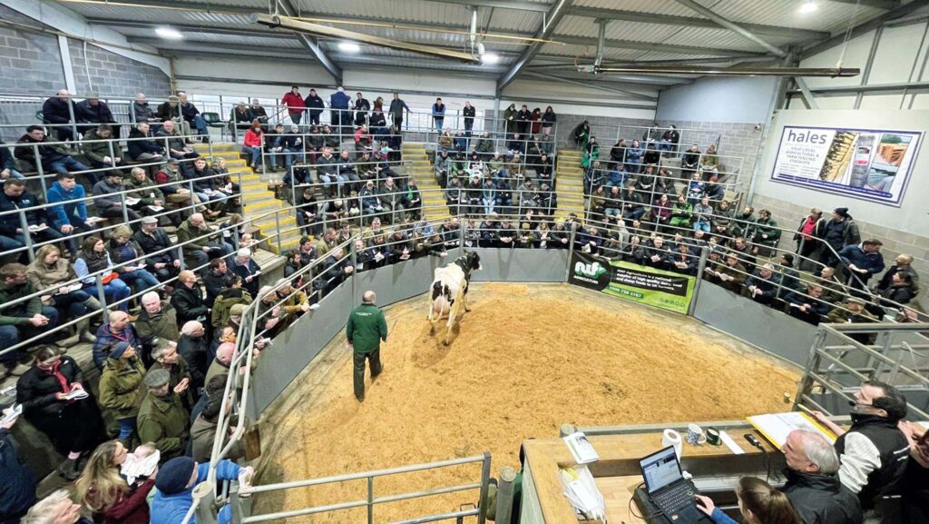 Frankton Hall herd sale © Shrewsbury Auction Centre