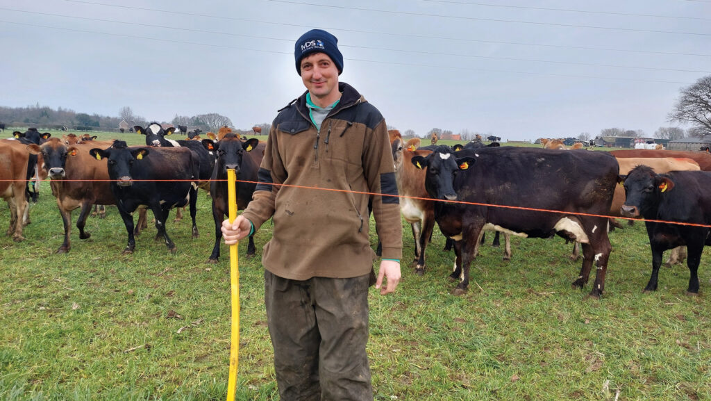 Man standing in front of dairy herd