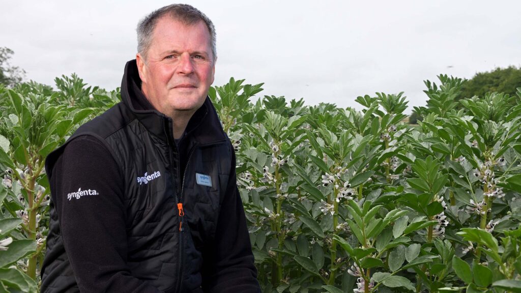 Man with a crop of flowering beans