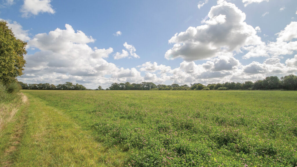 South Riddens Farm