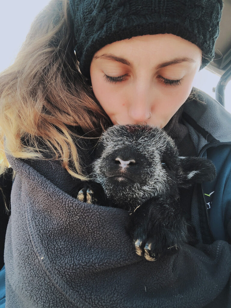 Rhianna kissing a Herdwick lamb