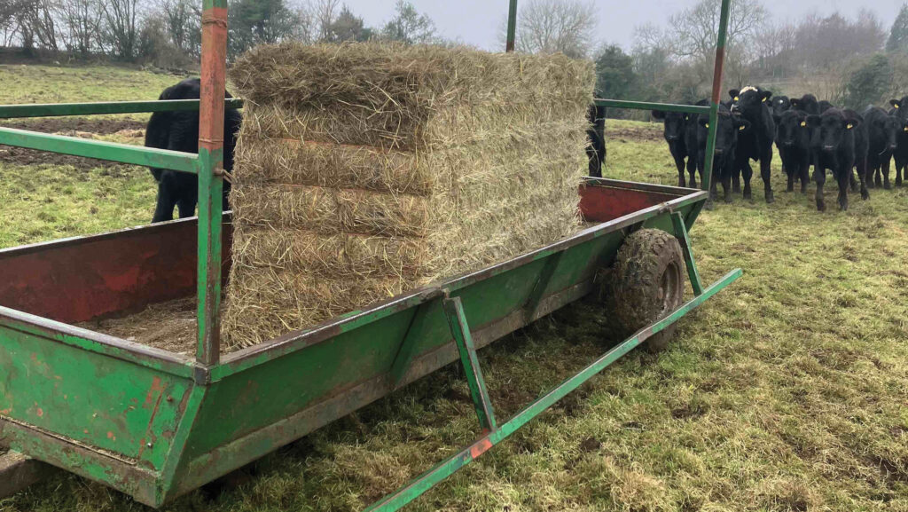 Tom Overbury’s feed trailer