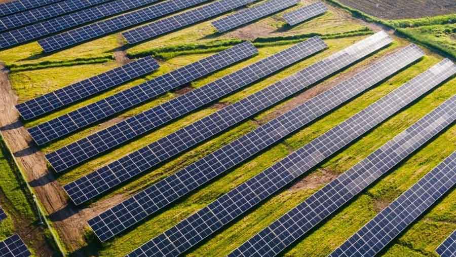 Solar panels in field