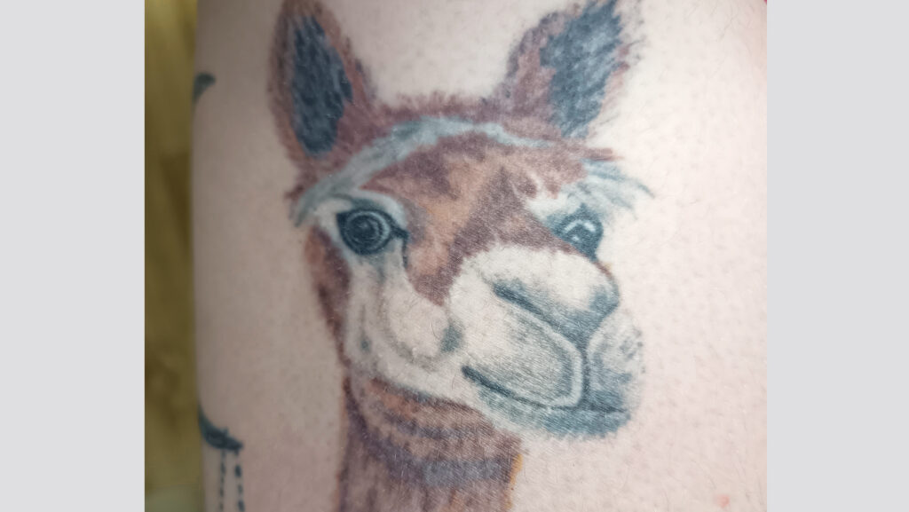 charlie breakspear's alpaca tattoo