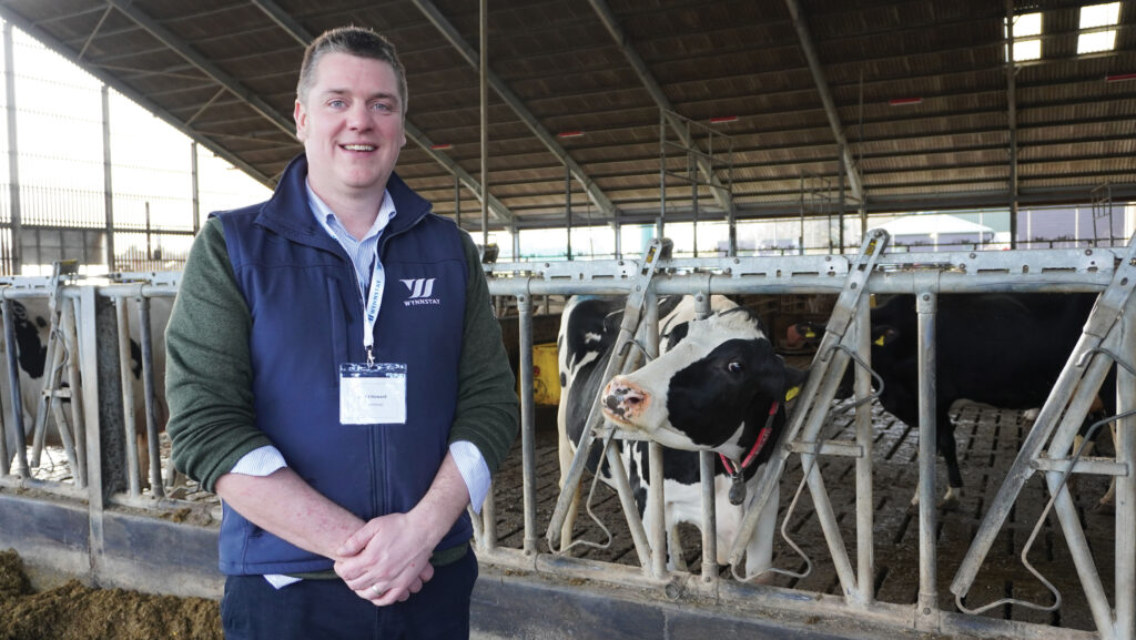 David Howard in dairy shed