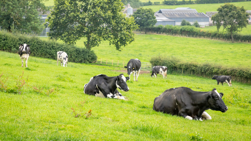 Co-op increase milk price under new payment model - Farmers Weekly