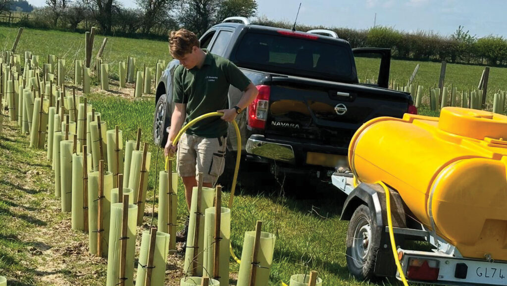 A dry spring has meant extra watering costs for newly planted hedges at Chalksole Farm © Biodiversity and Habitat Solutions
