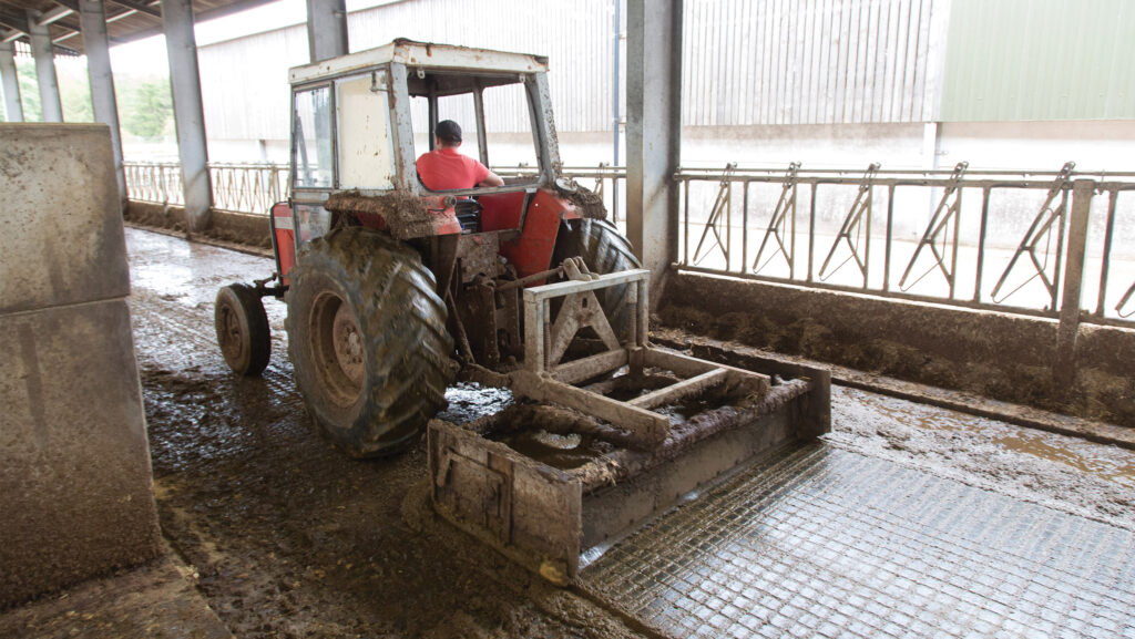 Scraping slurry out of dairy cattle housing