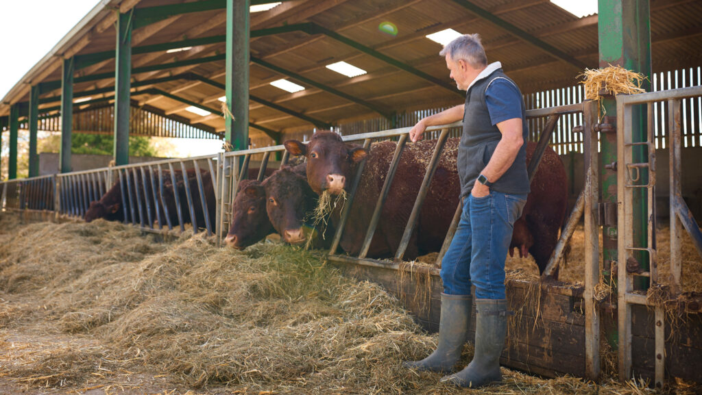 It is the farm owner's responsibility to settle in new staff and check they are happy © Adobe Stock